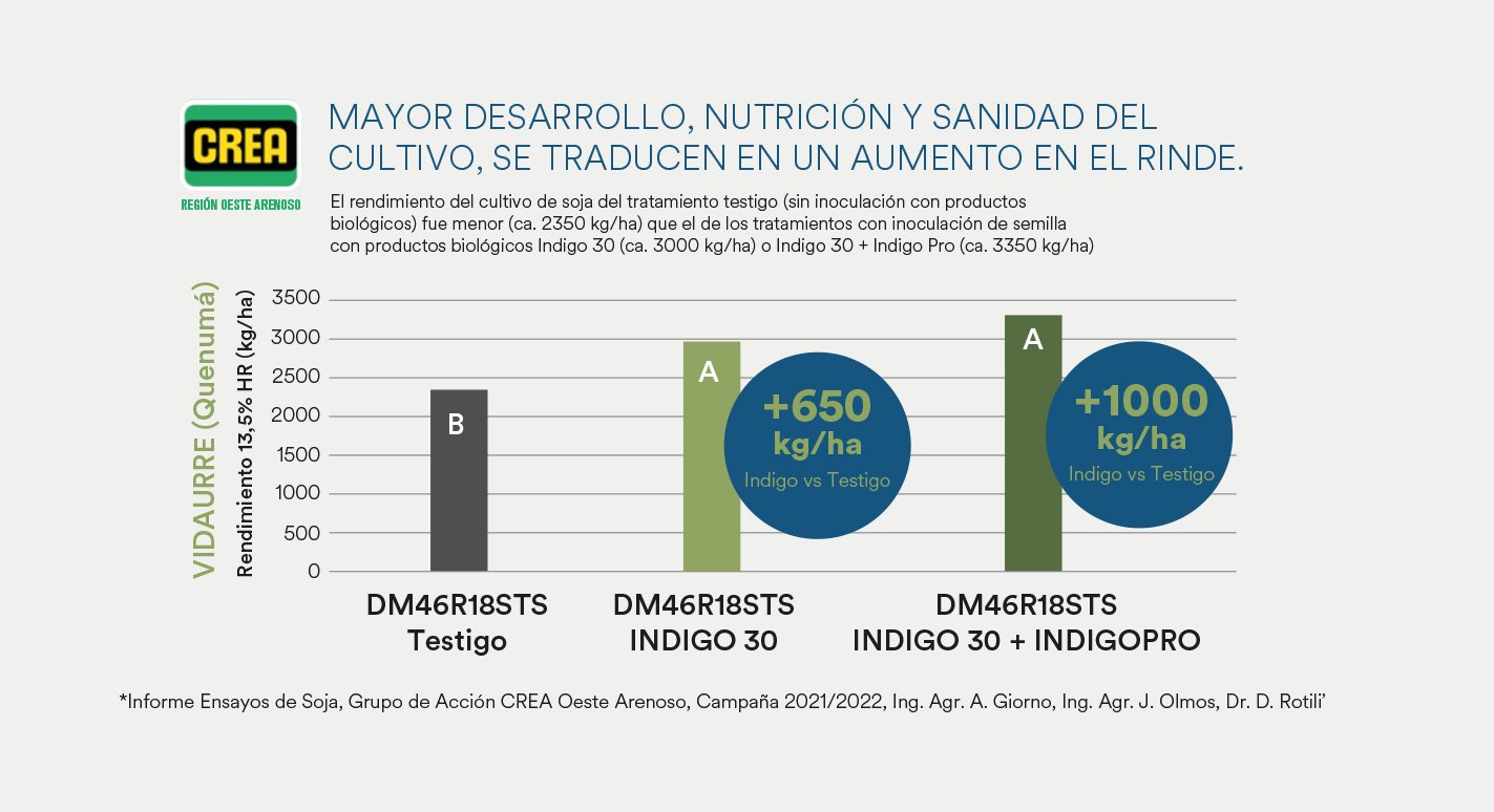 RESULTADOS Indigo 30 Soja 3