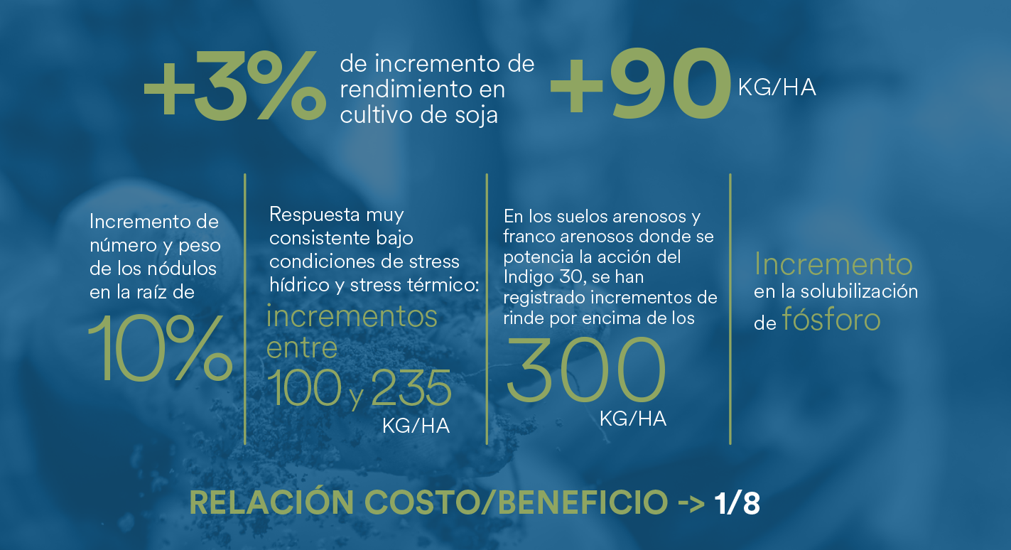 RESULTADOS Indigo 30 Soja 1